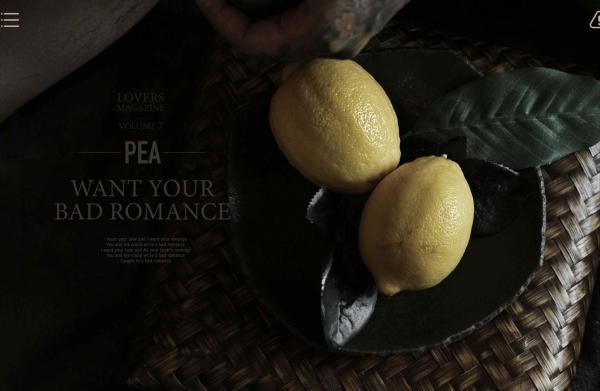 Lovers-Vol.07--PEA-Charming-Hair-Dresser-ebook--bts-cum-videos